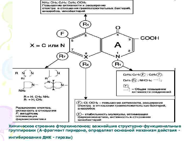 Химическое строение фторхинолонов; важнейшие структурно-функциональные группировки (А-фрагмент пиридона, определяет основной механизм действия ингибирование ДНК