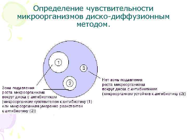 Определение чувствительности микроорганизмов диско-диффузионным методом. 