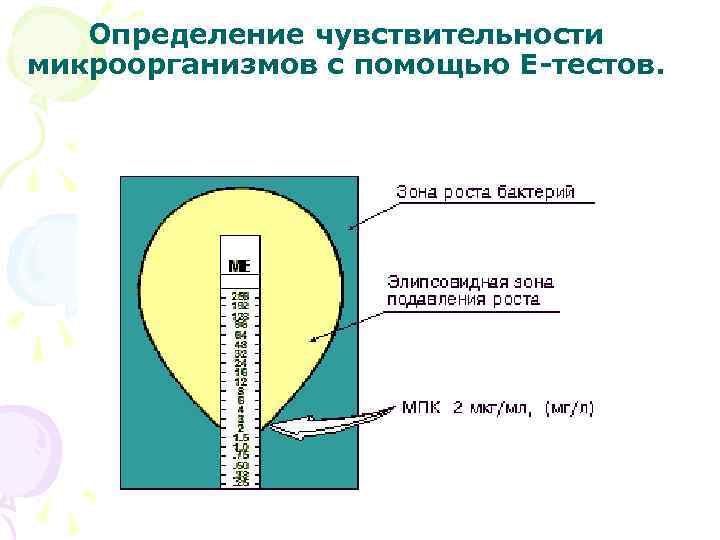 Определение чувствительности микроорганизмов с помощью Е-тестов. 