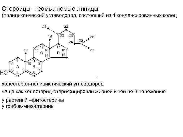 Стероиды- неомыляемые липиды (полициклический углеводород, состоящий из 4 конденсированных колец холестерол-полициклический углеводород чаще как