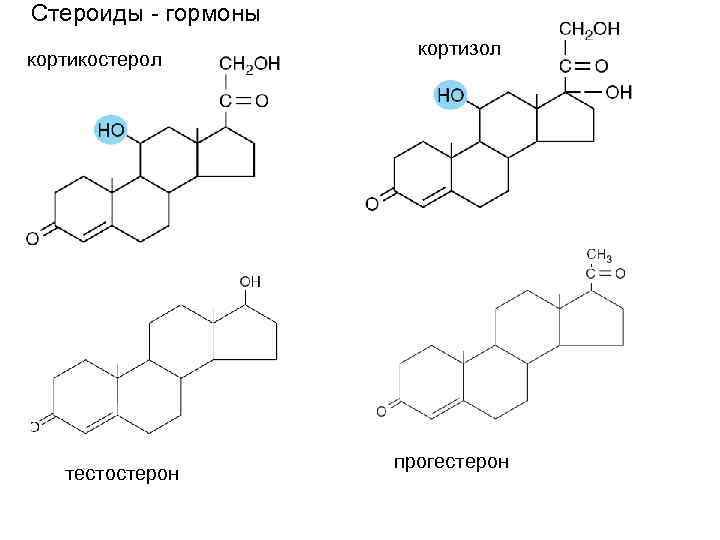 Стероиды - гормоны кортикостерол тестостерон кортизол прогестерон 