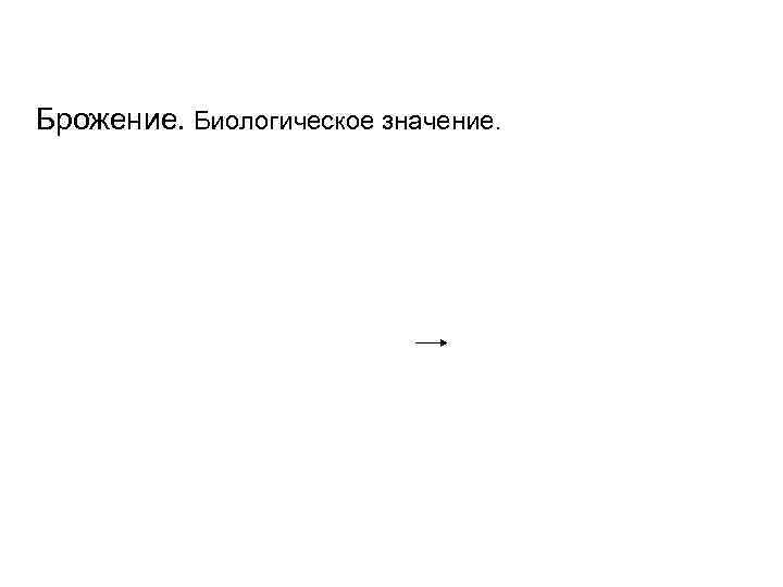 Брожение. Биологическое значение. 