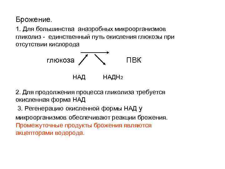 Брожение. 1. Для большинства анаэробных микроорганизмов гликолиз - единственный путь окисления глюкозы при отсутствии