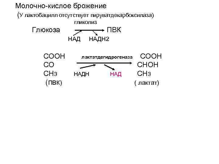 Молочнокислое брожение схема