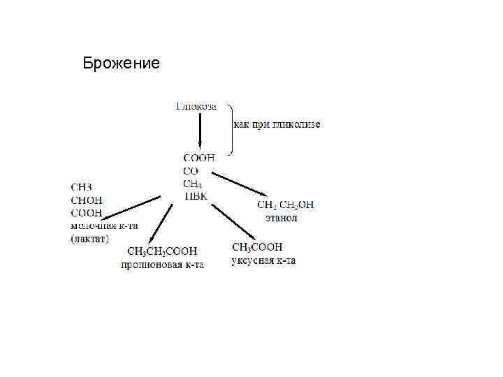 Красная и белая схема брожения