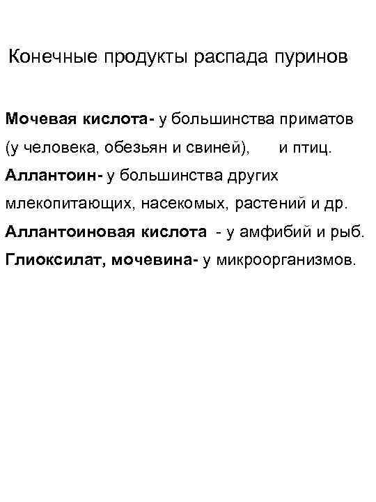Конечные продукты распада пуринов Мочевая кислота- у большинства приматов (у человека, обезьян и свиней),