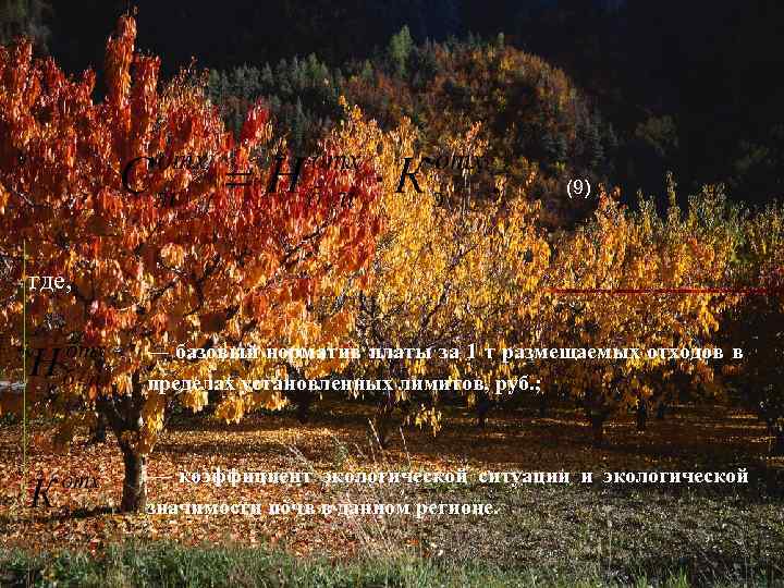 (9) где, — базовый норматив платы за 1 т размещаемых отходов в пределах установленных