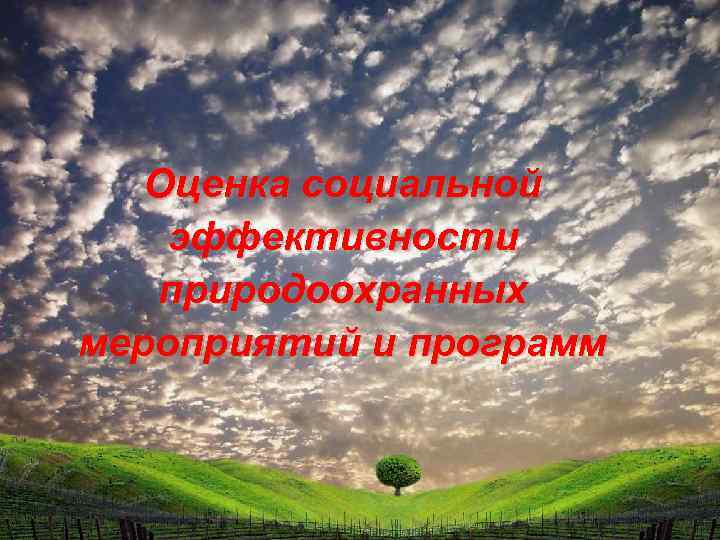 Оценка социальной эффективности природоохранных мероприятий и программ 