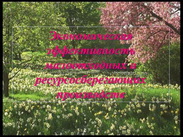 Экономическая эффективность малоотходных и ресурсосберегающих производств 