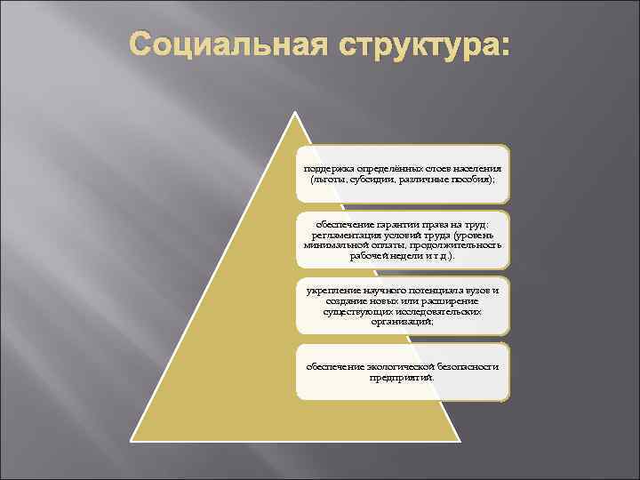 Социальная структура: поддержка определённых слоев населения (льготы, субсидии, различные пособия); обеспечение гарантии права на