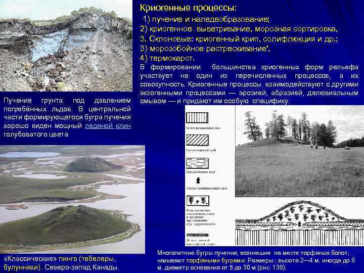 Рельеф созданный посредством деятельности многолетней мерзлоты. Мерзлотные (Криогенные) процессы и формы рельефа. Многолетняя мерзлота Бугры пучения. Формы рельефа России Бугры пучения. Бугры пучения механизм образования.