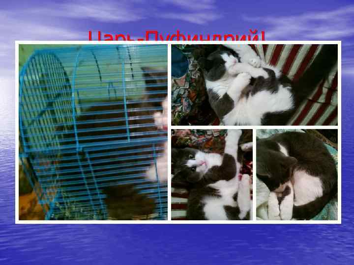 Царь-Пуфиндрий! 