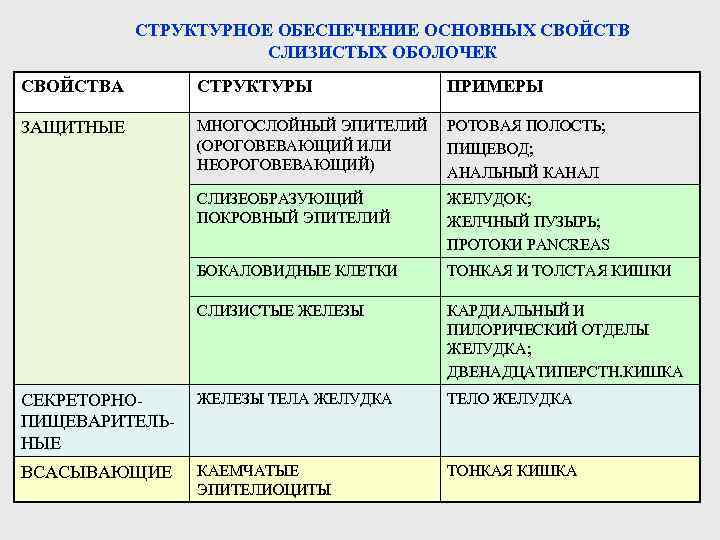 СТРУКТУРНОЕ ОБЕСПЕЧЕНИЕ ОСНОВНЫХ СВОЙСТВ СЛИЗИСТЫХ ОБОЛОЧЕК СВОЙСТВА СТРУКТУРЫ ПРИМЕРЫ ЗАЩИТНЫЕ МНОГОСЛОЙНЫЙ ЭПИТЕЛИЙ (ОРОГОВЕВАЮЩИЙ ИЛИ