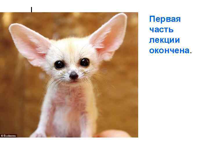 Первая часть лекции окончена. 