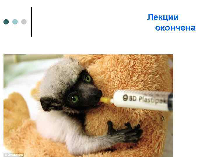 Лекции окончена 