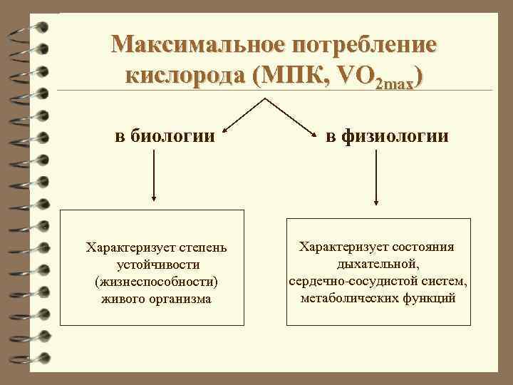 Максимальное потребление кислорода (МПК, VO 2 max) в биологии Характеризует степень устойчивости (жизнеспособности) живого
