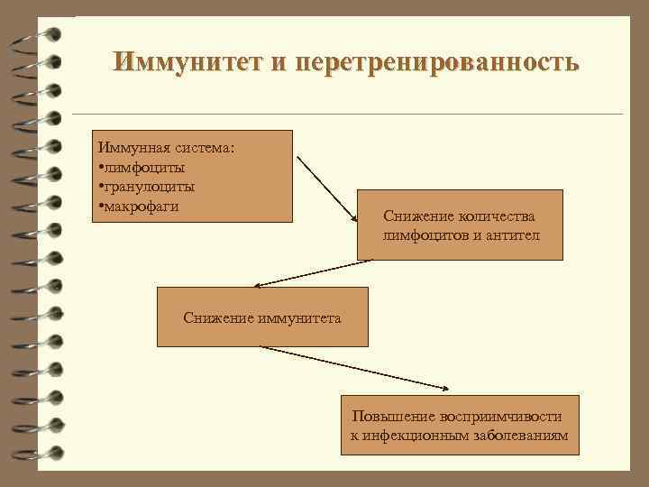 Иммунитет и перетренированность Иммунная система: • лимфоциты • гранулоциты • макрофаги Снижение количества лимфоцитов