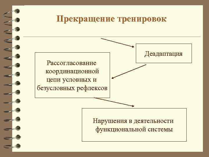 Прекращение тренировок Деадаптация Рассогласование координационной цепи условных и безусловных рефлексов Нарушения в деятельности функциональной