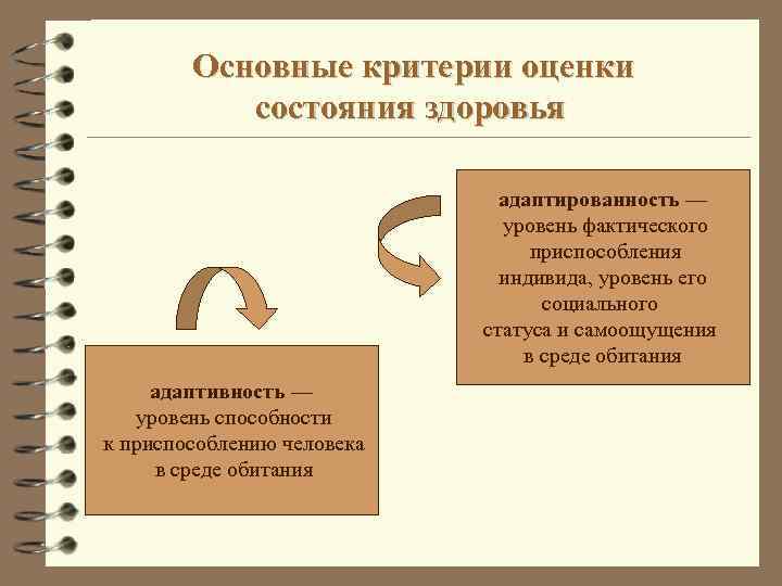 Основные критерии оценки состояния здоровья адаптированность — уровень фактического приспособления индивида, уровень его социального