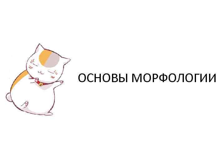 ОСНОВЫ МОРФОЛОГИИ 