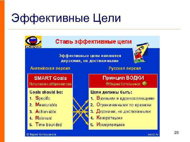 Эффективные Цели 25 