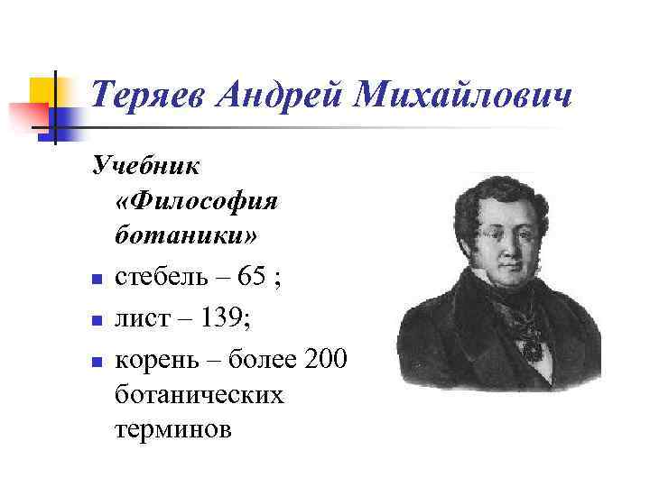 Теряев Андрей Михайлович Учебник «Философия ботаники» n стебель – 65 ; n лист –