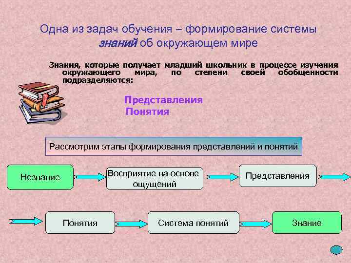 Этапы процесса формирования понятий