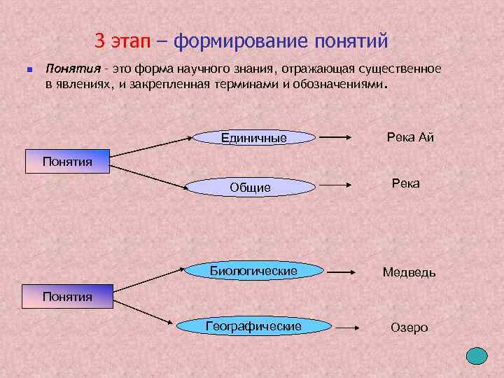 3 этап – формирование понятий n Понятия – это форма научного знания, отражающая существенное