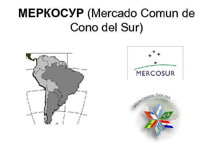 МЕРКОСУР (Mercado Comun de Cono del Sur) 