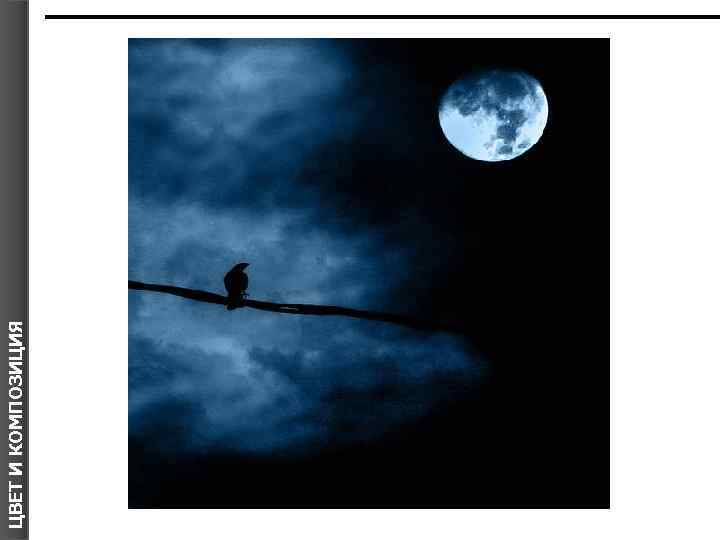 ЦВЕТ И КОМПОЗИЦИЯ 