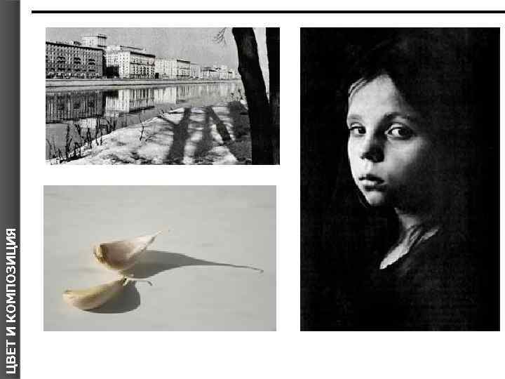 ЦВЕТ И КОМПОЗИЦИЯ 