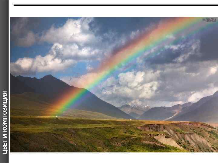 ЦВЕТ И КОМПОЗИЦИЯ 