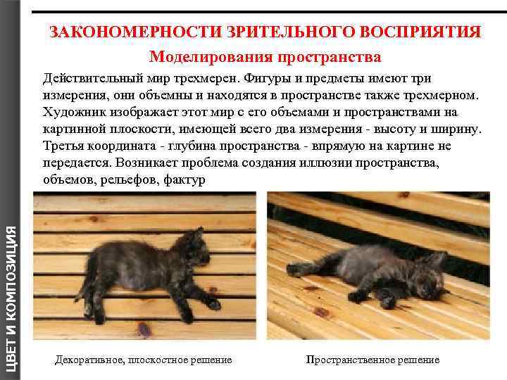 ЗАКОНОМЕРНОСТИ ЗРИТЕЛЬНОГО ВОСПРИЯТИЯ Моделирования пространства ЦВЕТ И КОМПОЗИЦИЯ Действительный мир трехмерен. Фигуры и предметы
