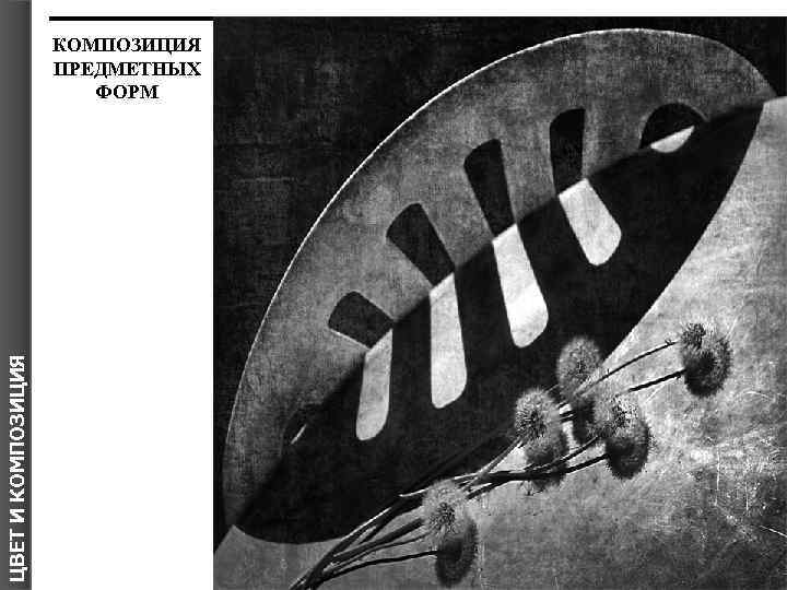 ЦВЕТ И КОМПОЗИЦИЯ Я КОМПОЗИЦИЯ ПРЕДМЕТНЫХ ФОРМ 