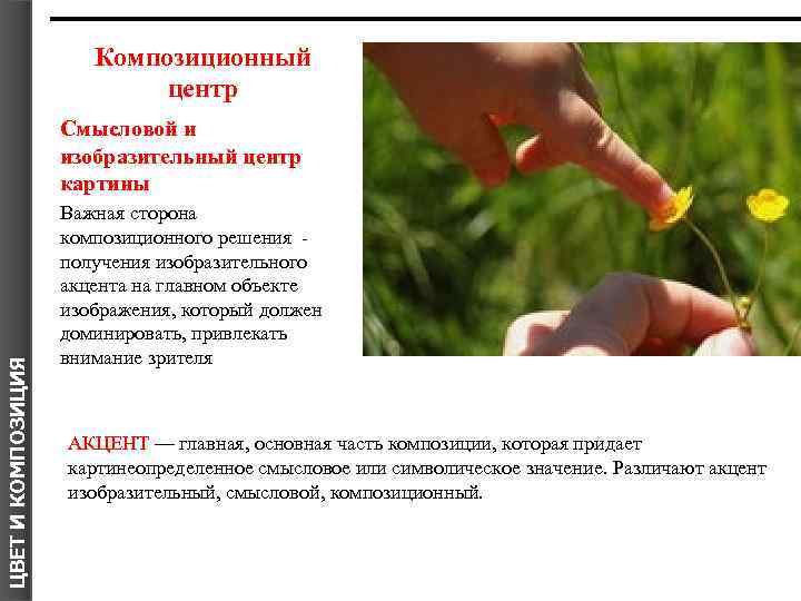 Композиционный центр ЦВЕТ И КОМПОЗИЦИЯ Смысловой и изобразительный центр картины Важная сторона композиционного решения
