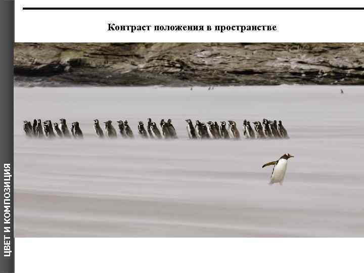 ЦВЕТ И КОМПОЗИЦИЯ Контраст положения в пространстве 