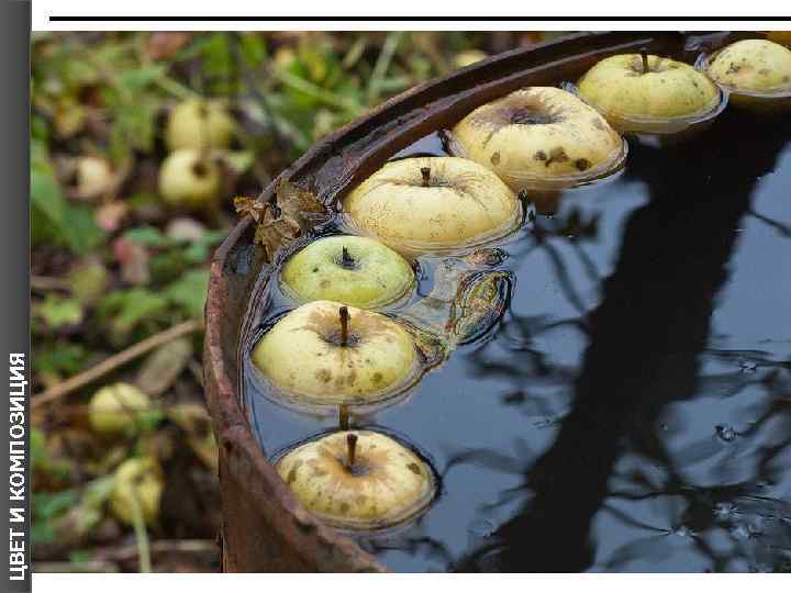 ЦВЕТ И КОМПОЗИЦИЯ 