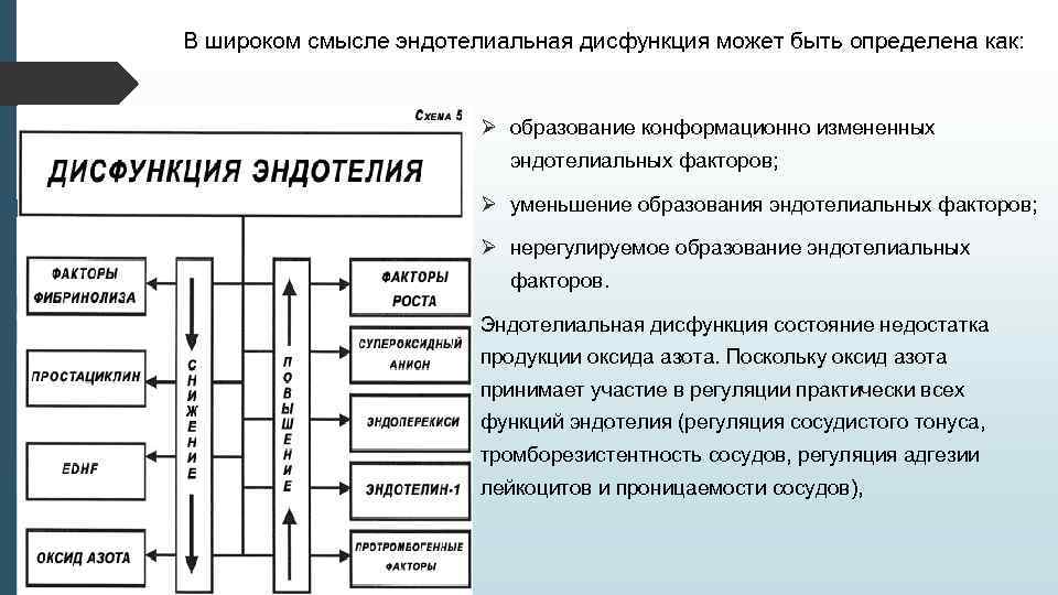 В широком смысле эндотелиальная дисфункция может быть определена как: Ø образование конформационно измененных эндотелиальных