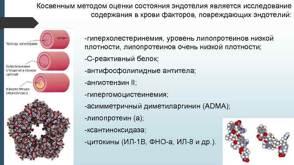 Косвенным методом оценки состояния эндотелия является исследование содержания в крови факторов, повреждающих эндотелий: -гиперхолестеринемия,