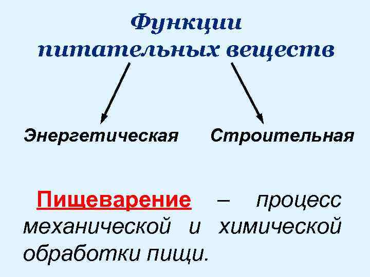 Функции питательных веществ Энергетическая Строительная Пищеварение – процесс механической и химической обработки пищи. 
