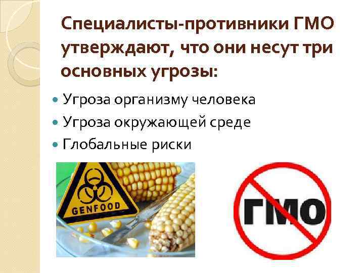 Генетически модифицированные продукты и угрозы связанные с их употреблением презентация