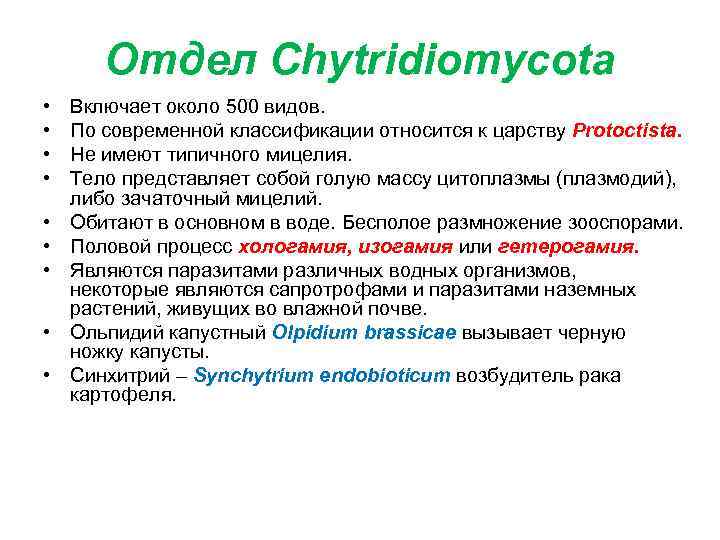 Отдел Chytridiomycota • • • Включает около 500 видов. По современной классификации относится к