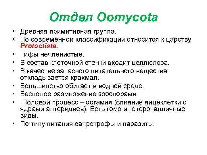 Отдел Oomycota • Древняя примитивная группа. • По современной классификации относится к царству Protoctista.