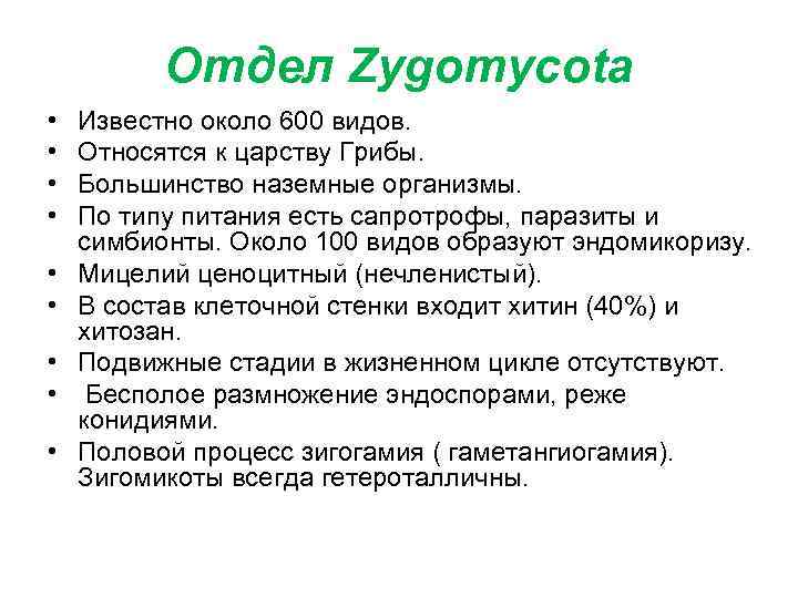Отдел Zygomycota • • • Известно около 600 видов. Относятся к царству Грибы. Большинство