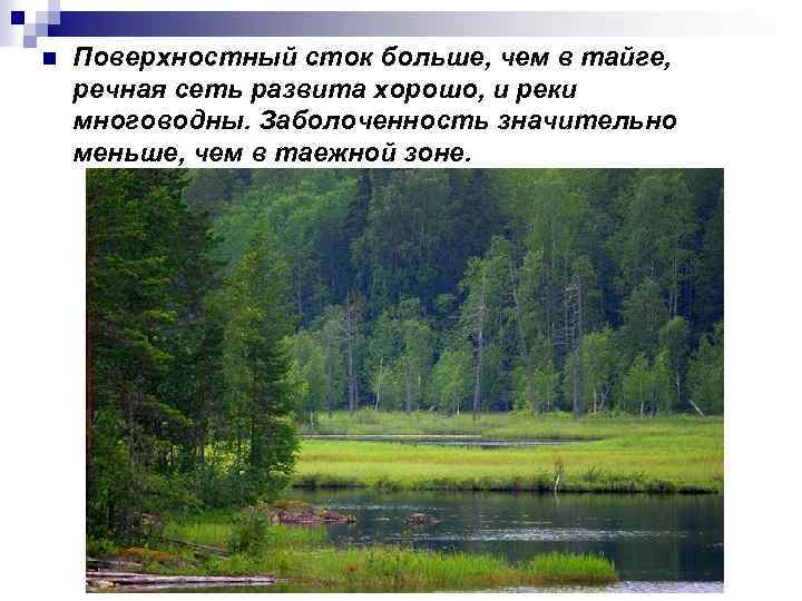 n Поверхностный сток больше, чем в тайге, речная сеть развита хорошо, и реки многоводны.