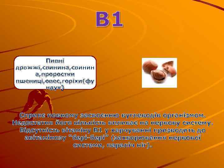 В 1 Пивні дрвжжі, свинина, свинин а, проростки пшениці, овес, горіхи(фу ндук) Сприяє повному