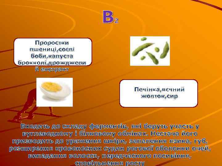 В 2 Проростки пшениці, соєві боби, капуста брокколі, дрожджеви й екстракт Печінка, яєчний жовток,