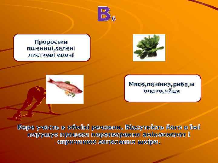 В 6 Проростки пшениці, зелені листкові овочі Мясо, печінка, риба, м олоко, яйця Бере
