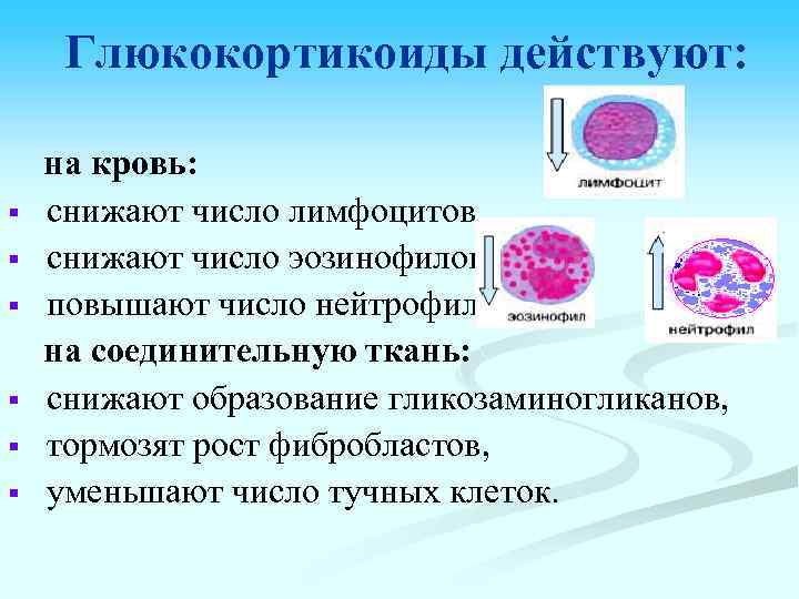 Глюкокортикоиды действуют: § § § на кровь: снижают число лимфоцитов, снижают число эозинофилов, повышают