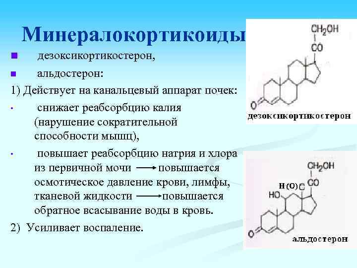 Минералокортикоиды дезоксикортикостерон, n альдостерон: 1) Действует на канальцевый аппарат почек: • снижает реабсорбцию калия